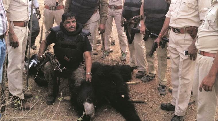 Banaskantha villagers in shock: ‘Unheard of sloth bear killing men