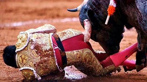 WATCH: A bull’s 11-inch horn goes inside a bullfighter’s ... - 480 x 267 jpeg 27kB