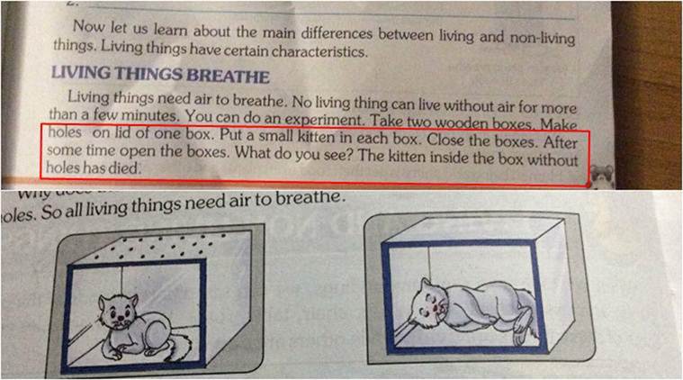 CBSE, cbse.nic.in, CBSE textbooks, NCERT textbooks, kitten, kitten textbook, cat, NCERT CBSE, CBSE books, education news, cats, indian express news, cbse board, cbse date sheet, ncert syllabus