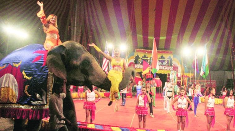 Circus owners unite against animal NGOs India News,The