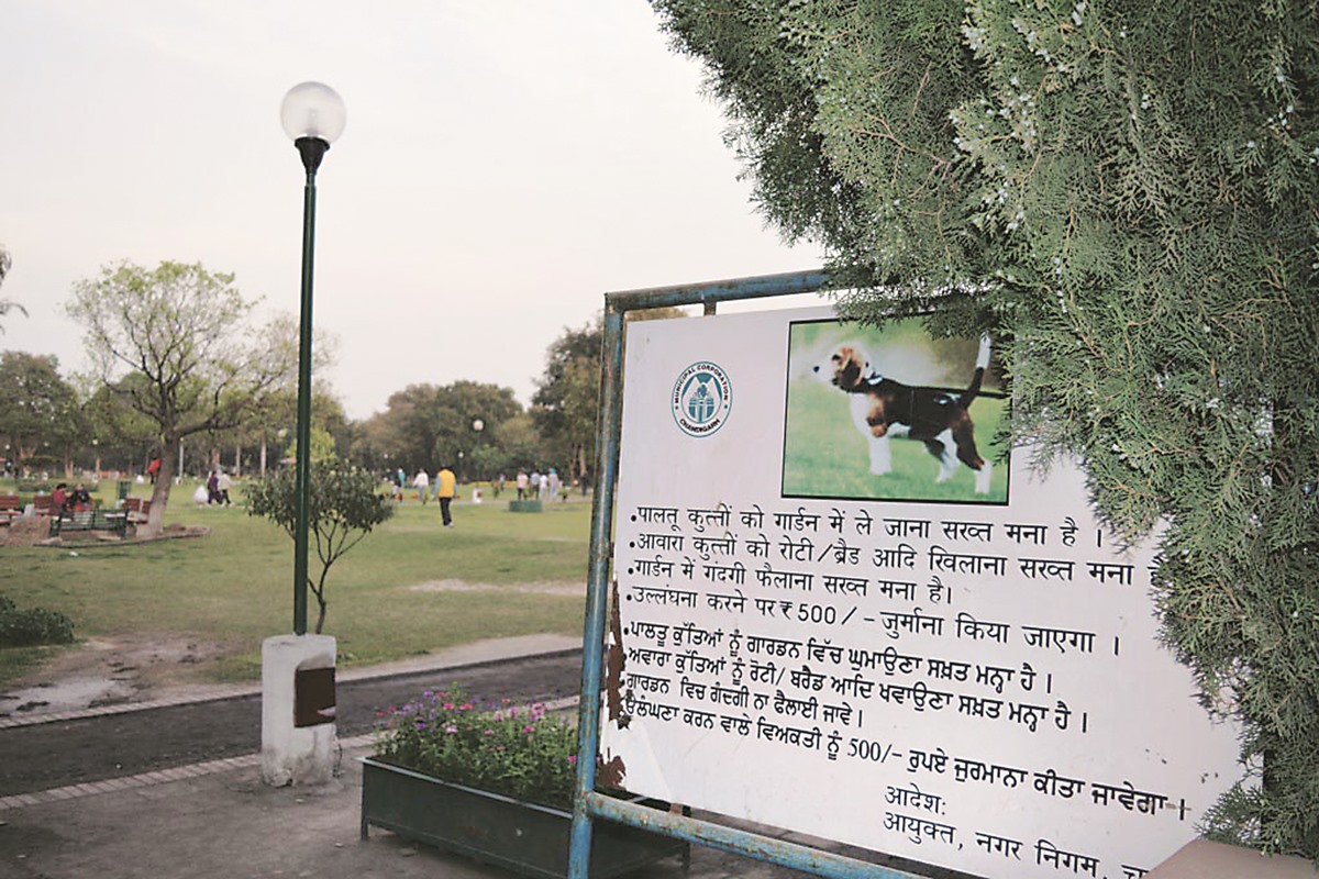 Guidelines Of Animal Welfare Board Of India Parks Not To Be Out Of Bounds For Dogs Cities News The Indian Express