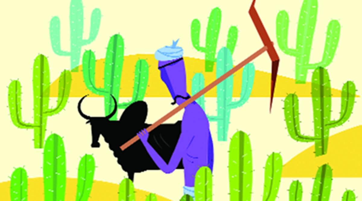 maharashtra, maharashtra loan waiver, maharashtra farmer, agrarian crisis, maharashtra government, mumbai news, indian express news