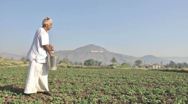 farmers, fertilizers, farmer fertilizer purchase, goverment scheme on fertilizers, Farm Bills, India news, indian express