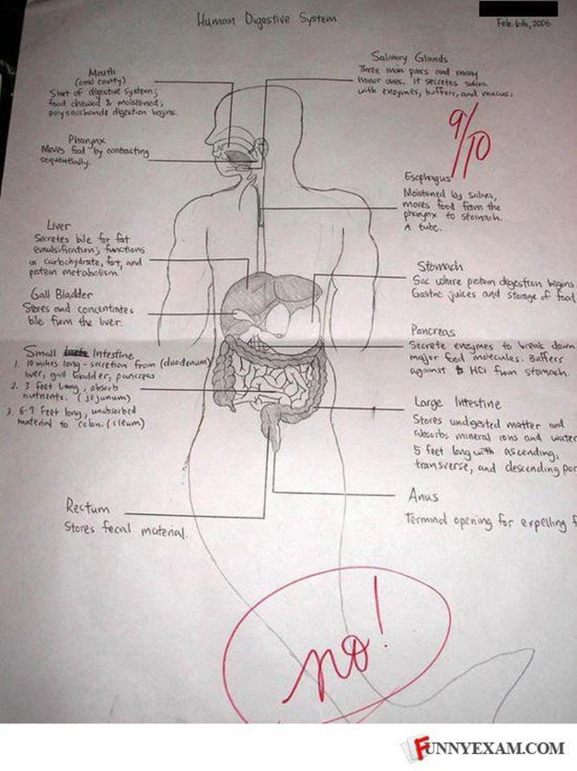 answers school ... these time: Read papers exam funny from Exam