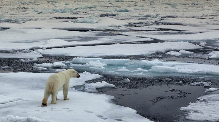 effects of global warming in india