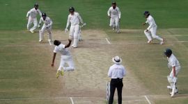 india vs australia, ind vs aus, india australia, india australia test series, india beat australia, india australia bangalore test, india bangalore 2nd test, ind vs aus, cricket news, sports news