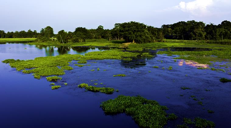 Floating 'B4' boat labs will study the Brahmaputra river | India ...