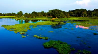 majuli island, riverine island, India's riverine island, Brahmaputra, Brahmaputra river, India news