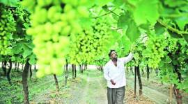 Marathwada, Marathwada village, Marathwada drought, Marathwada water management, india news