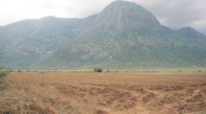 Underground search for the ghost particle hits wildlife clearance wall
