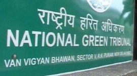 ngt, ngt odisha, odisha ngt, ngt eviction, ngt college eviction, india news, indian express news