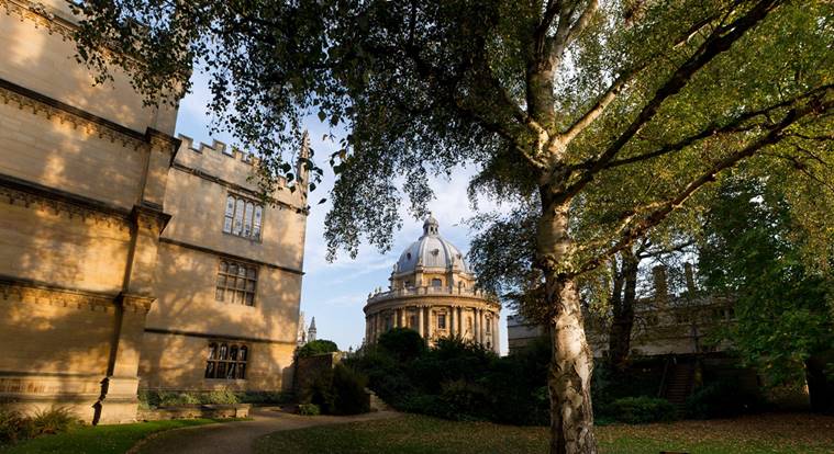 Oxford University, Oxford cannabis research, marijuana, cannabis, drugs, medical marijuana, education news, indian express news, oxford courses, oxford university admissions