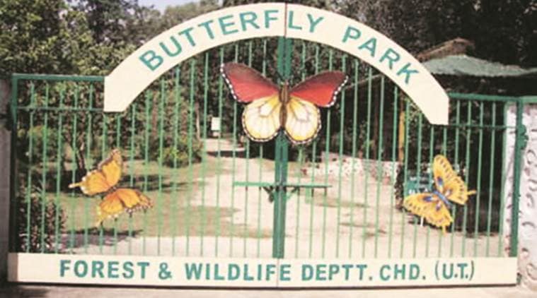 butterfly park,  butterfly park delhi, butterfly, latest news, latest india news