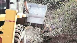 uttarakhand, jim corbett, uttarakhand news, jim corbett national park, jim corbett tiger, india news