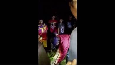 python, python eats man, man inside python, python snake, python kills man, indonesia python, world news
