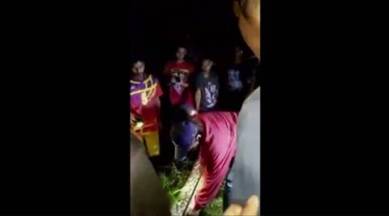 python, python eats man, man inside python, python snake, python kills man, indonesia python, world news