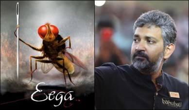 eega, eega nandi award, nandi awards, nandi awards 2013, nandi awards 2012, nandi awards winners, nandi awards list, rajamouli nandi awards, rajamouli eega nandi awards, nandi awards news, tollywood news, entertainment news