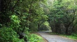 Sanjay Gandhi National Park, Maharashtra government, belgium government, Mumbai news, india news, indian express news