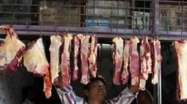 slaughterhouse India meat export
