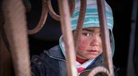 anaemia among children, indian express, chandigarh news, National Family Health Survey, Union Ministry of Health and Family Welfare