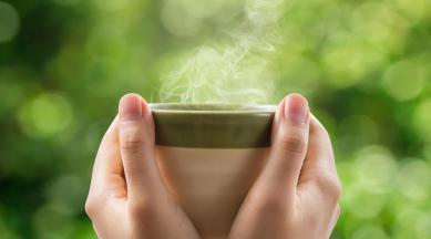 tea, tea benefits, tea health benefits, tea healthy, health diabetes, health goodness, tea diabetes, health, lifestyle, indian express, indian express news