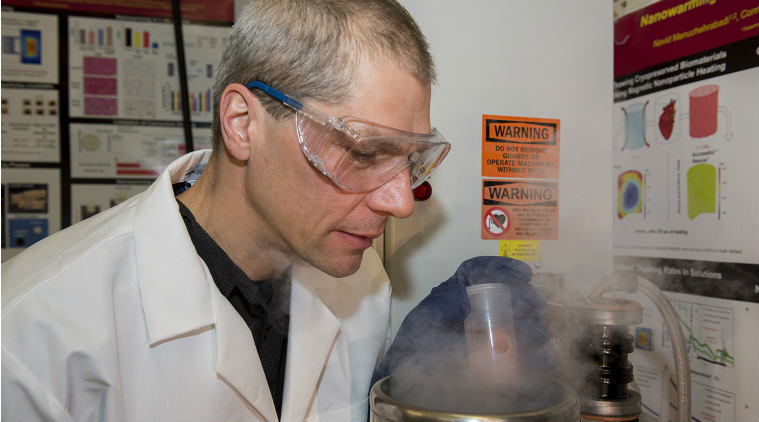 nanotchnology, nanowarming, deep freezing organs, organ bank, magnetic nano particles, radiofrequency energy, Science Translational Medicine, thaw human organs, organ transplant, slow cellular activity, cryopreservation, frozen animal organs, Science, Science news