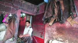 WATER CARRIER 480 no alt set