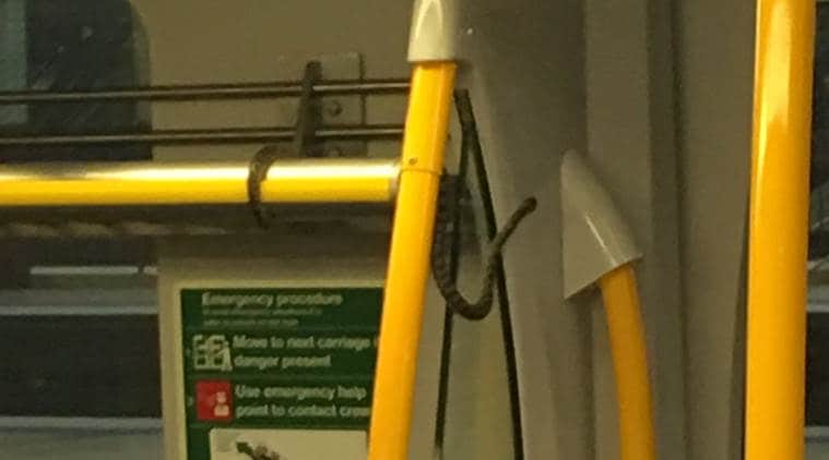 snake, australia, autralia snake, snake on train, australia snake on train, python in autralia train, children python australia train, australia snake attack, viral news, odd news, weird news, australia news, indian express