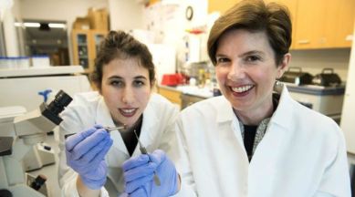 3D  bioprinted patch, scarred heart tissue, post heart attack, 3D bioprinting techniques,  increased function, science, Science news, 3D printing proteins,Science, Science news 