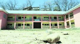 budgam759 Budgam, Srinagar bypoll, Srinagar byelections, Srinagar parliamentary constituency, Election Commission Srinagar elections, Budgam violence, Srinagar violence, Indian Express, India news