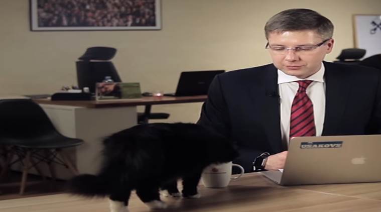 cat interrupts mayor's live video, cat jumps on Latvian mayor's show, cat drinks coffee from latvia mayor, cat stops live session, viral videos, comedy videos, funny videos, indian express, indian express news