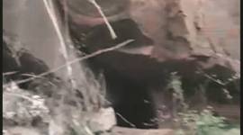 Delhi robbers, delhi robbers gang, delhi robbers gang busted, robbers in delhi, robbers cave, south delhi cave, delhi news, indian express news