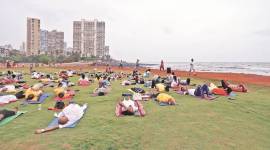 coastal road project, mumbai coastal road, Priyadarshini Park, Napean Sea Road, BMC, mumbai news, indian express news