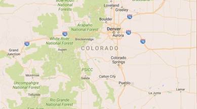 Colorado, Colorado bears, Colorado cougars, US government sued for killing wild animals, Wildlife conservation, US Wildlife conservation groups, indian express news