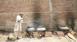 Dadri, buffalo biryani, heartbroken bride, Dadri news, Lucknow, Indian Express, Indian Express News