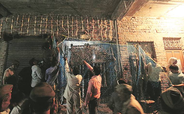 Leopard, leopard search, Delhi-UP, Delhi UP border Leopard, Bhopura locals, Bhopura people leopard, Leopard house, delhi leopard news, delhi news, indian express news