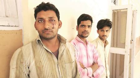 delhi buffalo attack, south delhi buffalo transporation, gau rakshak, gau raksha, delhi gau rakshak attack, kalkaji attack, kalkaji cow attack, kalkaji cow assault, pfa attack, buffaloes transport, delhi buffaloes attack, indian express news, india news, delhi, delhi attack