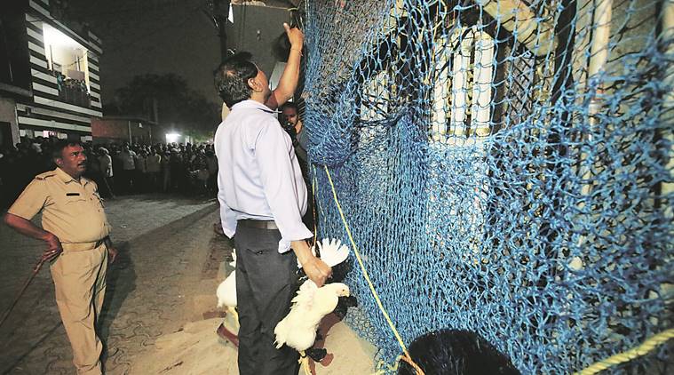 Leopard, leopard search, Delhi-UP, Delhi UP border Leopard, Bhopura locals, Bhopura people leopard, Leopard house, delhi leopard news, delhi news, indian express news