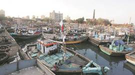 New Sassoon Docks, Union Minister for Shipping, Road Transport and Highways, Nitin Gadkari, India news, National news, Brihanmumbai Municipal Corporation,