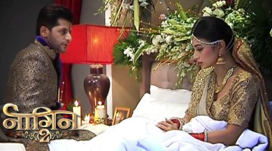 Naagin, Naagin TV summary, naagin written update, naagin weekly written update, Naagin April 8 episode update, Naagin pics