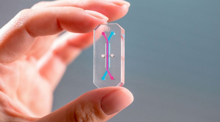 Soon, tiny ‘organ on chips’ may replace animal testing | Technology