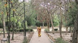 journalist attacked, delhi journalist attacked, ashok vihar, ashok vihar delhi, ashok vihar journalist attacked, delhi news, indian express