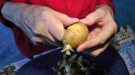 yourswisely videos, hatred, feelings, how hatred is harmful, positive messages, life positive, indianexpress.com, indianexpressonline, indianexpress, life positivity, think positive, important life lessons, spread love, peace, keep calm, student teacher relationship, hate, love, happiness, sadness, depression, harm,