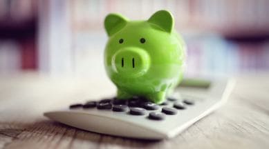 Risk appetite, planning savings, golden rule of investment, investing right, savings, business news, indian express news