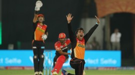 ipl 2017, ipl 10, sunrisers hyderabad, rashid khan, david warner, warner, rashid khan srh, srh vs rcb, ipl srh, david warner srh, cricket news, cricket, sports news, indian express
