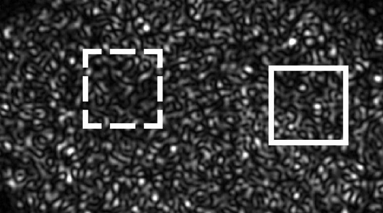  SAVI system, SAVI prototype, Matrix Special effect, SAVI camera array, remove aberrations, SAVI's "synthetic aperture", computer programme replaces long lens, Science, Science news