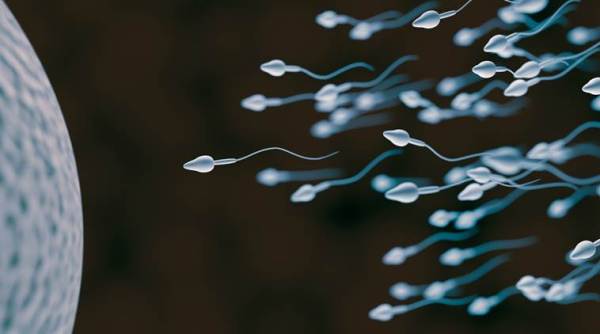 sperm, sex, semen, male semen, human semen, human semen smuggling, sperm smuggling, thailand, man arrested for smuggling sperm, thailand surrogacy, odd news, bizarre news, weird news, world news