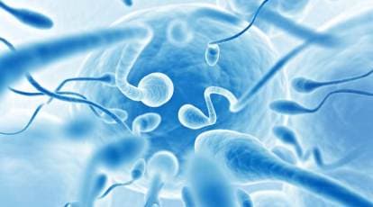 No need for vasectomy! Now men can turn off their sperm flow at the flick  of a switch