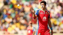 Mitchell Starc, Mitchell Starc Australia, Australia Mitchell Starc, Virat Kohli, Virat Kohli India, RCB, Starc bowling, Kohli injury, Kohli parody account, sports news, sports, cricket news, Cricket, Indian Express