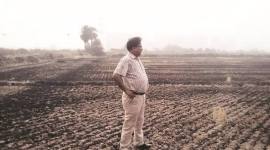 stubble burning, noida stubble burning, greater noida stubble burning, greater noida village, farmer stubble burning, National Green Tribunal, indian express news, india news, delhi news